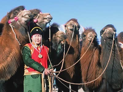 The Gobi Desert Thousand Camel Festival