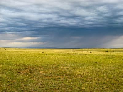 The endless plains of Eastern Mongolia