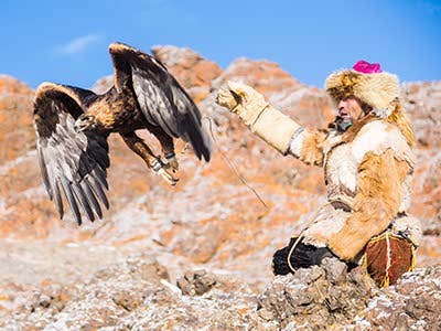 Hunting with Eagle tour /7 days/
